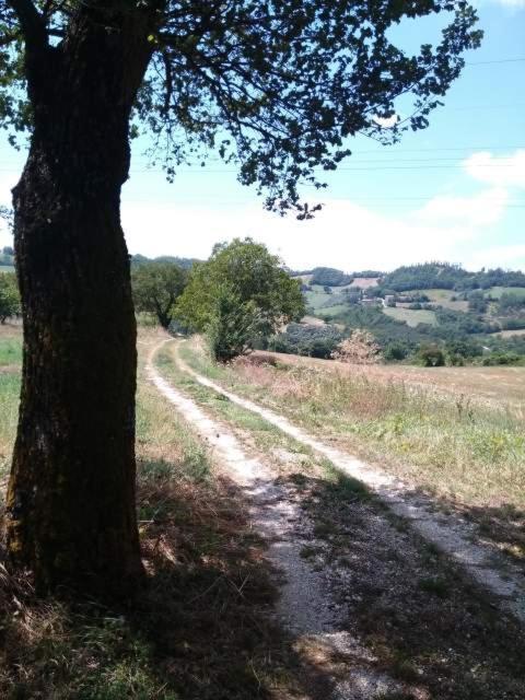 Casa Vacanze Campo D'Arco Nocera Umbra Bagian luar foto
