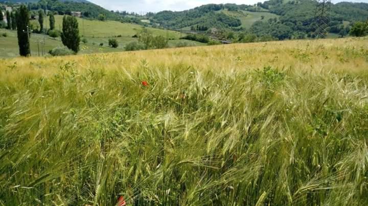 Casa Vacanze Campo D'Arco Nocera Umbra Bagian luar foto